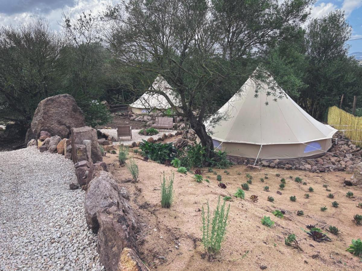 فندق Pasare Glamping_Anglonaruralexperience Perfugas المظهر الخارجي الصورة