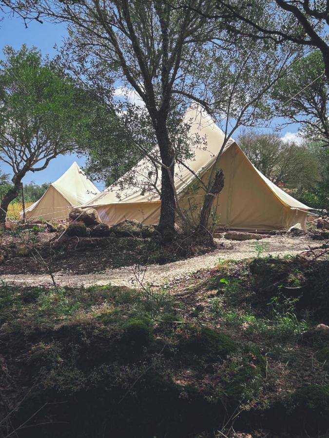 فندق Pasare Glamping_Anglonaruralexperience Perfugas المظهر الخارجي الصورة