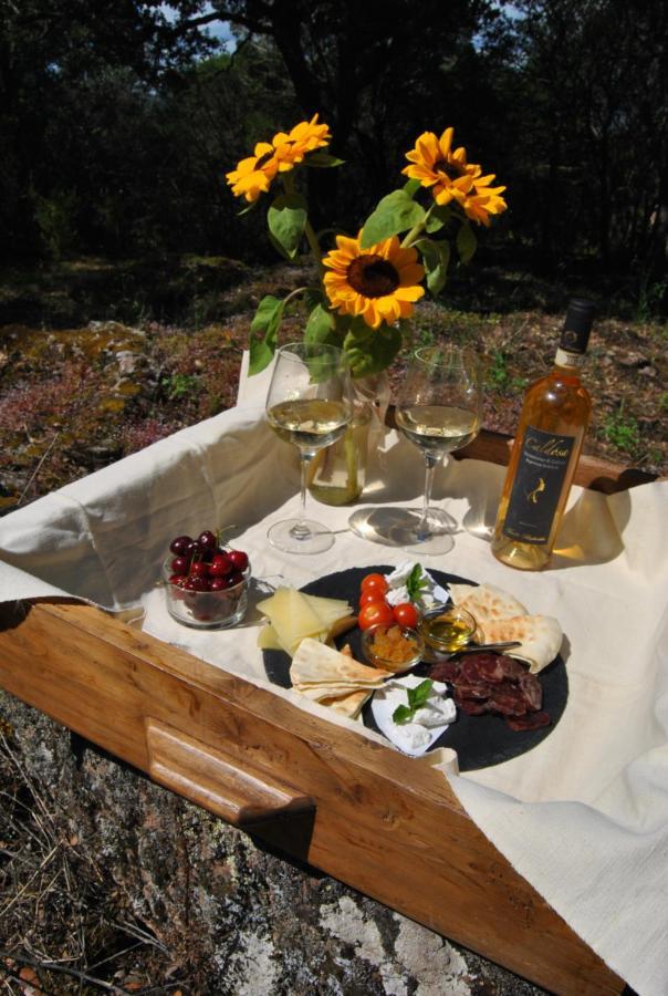 فندق Pasare Glamping_Anglonaruralexperience Perfugas المظهر الخارجي الصورة