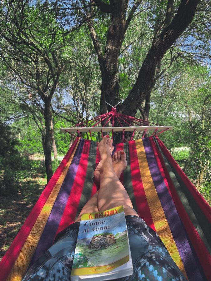 فندق Pasare Glamping_Anglonaruralexperience Perfugas المظهر الخارجي الصورة