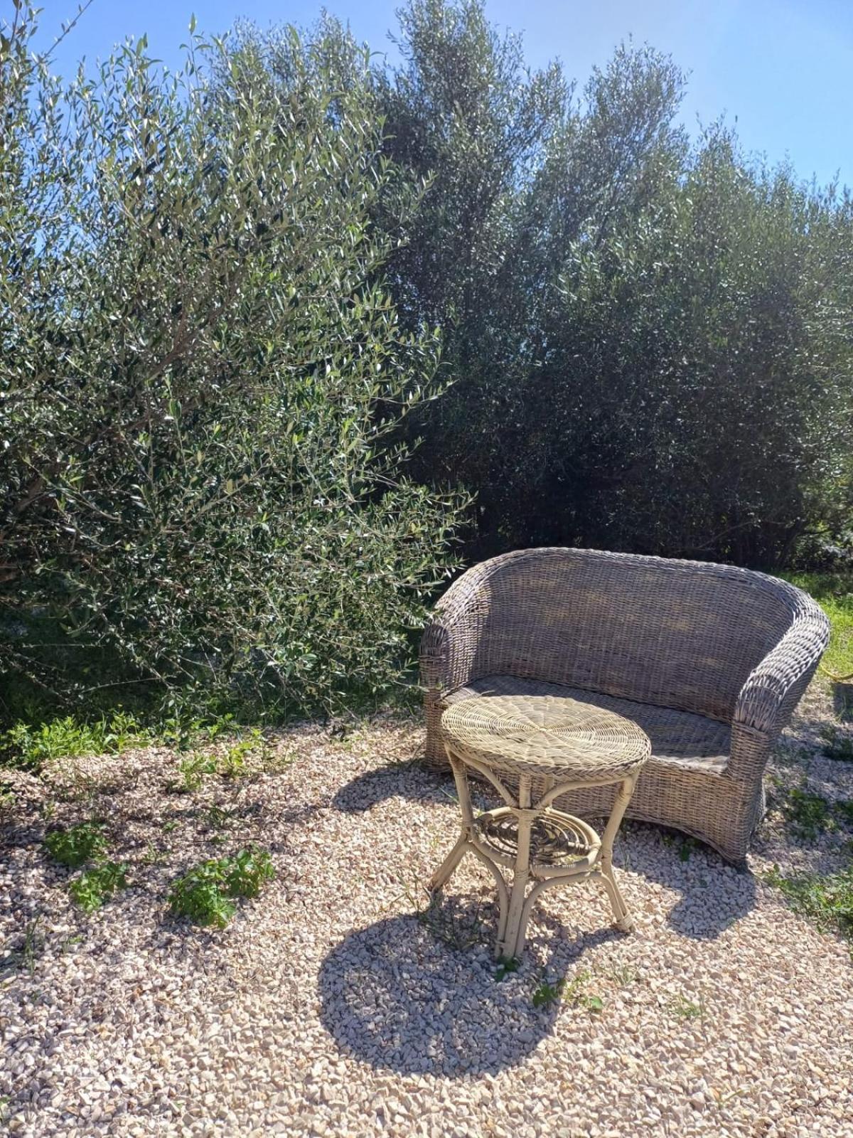 فندق Pasare Glamping_Anglonaruralexperience Perfugas المظهر الخارجي الصورة
